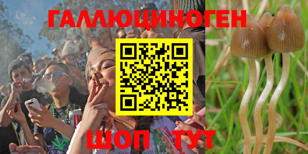 Псилоцибиновые грибы мухоморы  Вход с VPN  Балтийск 